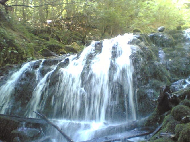bolu bolu