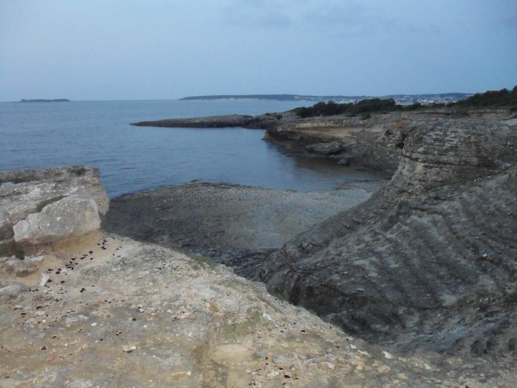 SAM_0882