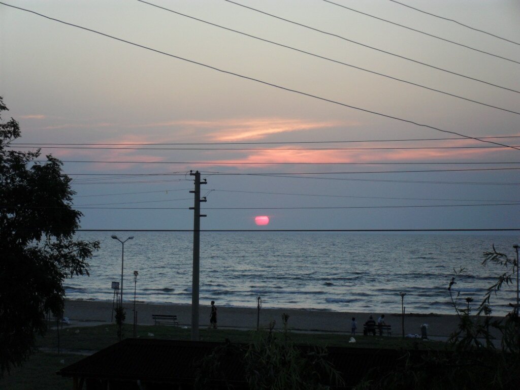 SAM_0923