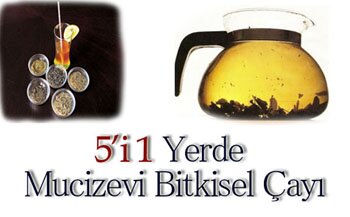 ender sarac bitkicayi