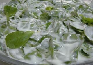 yogurtlu semizotu salatasi