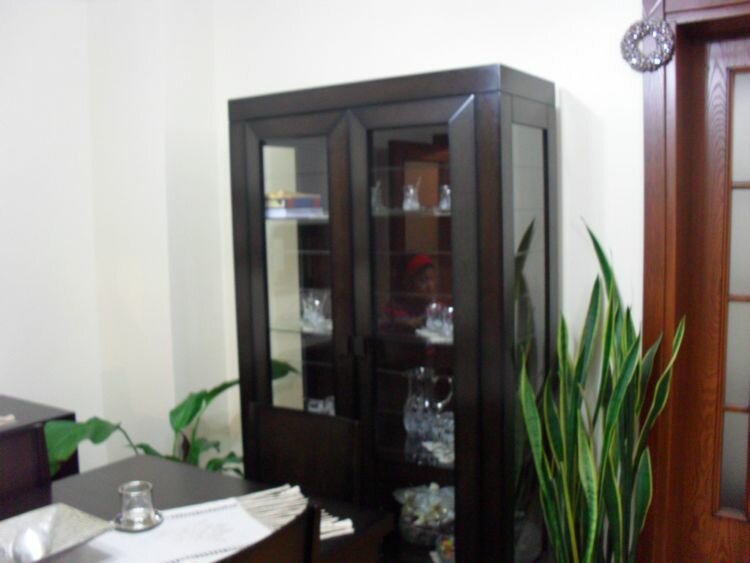 salon dizayni