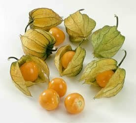 altin_cilek zararimi